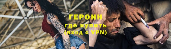 прущие грибы Гусиноозёрск