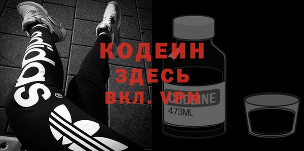 ГАЛЛЮЦИНОГЕННЫЕ ГРИБЫ Гусев