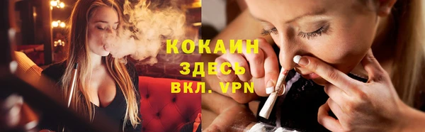 ГАЛЛЮЦИНОГЕННЫЕ ГРИБЫ Гусев