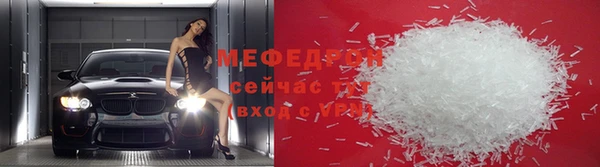 прущие грибы Гусиноозёрск