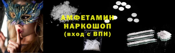прущие грибы Гусиноозёрск