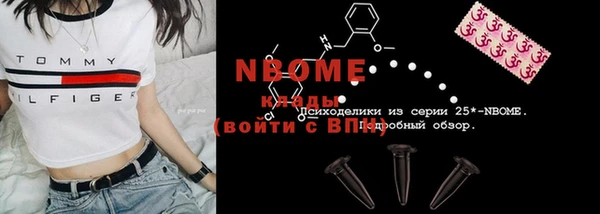 прущие грибы Гусиноозёрск