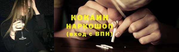 прущие грибы Гусиноозёрск