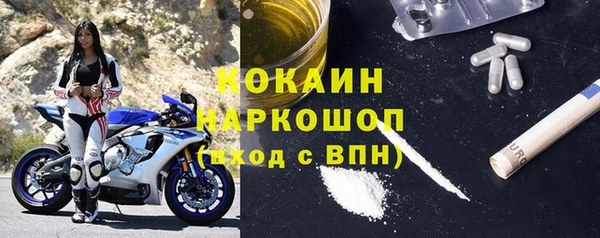 ГАЛЛЮЦИНОГЕННЫЕ ГРИБЫ Гусев