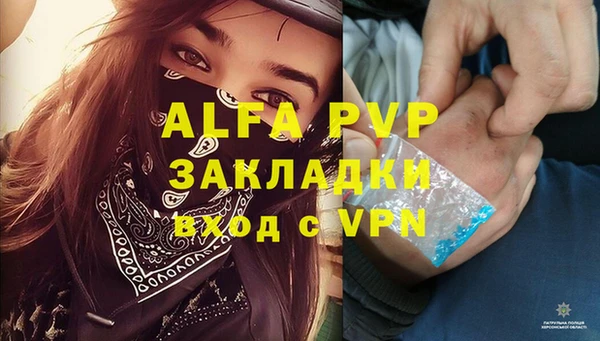 ГАЛЛЮЦИНОГЕННЫЕ ГРИБЫ Гусев
