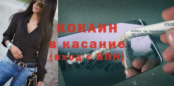 ГАЛЛЮЦИНОГЕННЫЕ ГРИБЫ Гусев