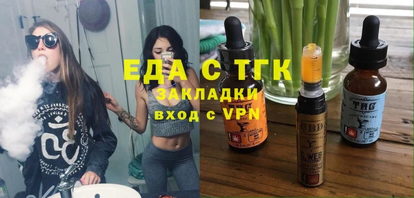 прущие грибы Гусиноозёрск