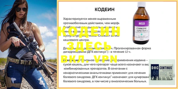 прущие грибы Гусиноозёрск