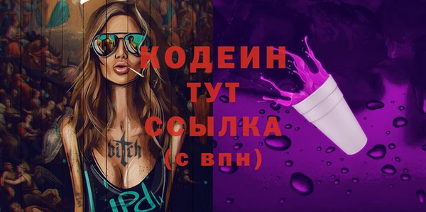 прущие грибы Гусиноозёрск