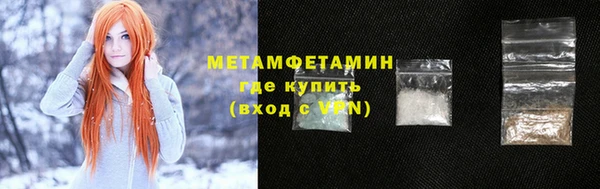 прущие грибы Гусиноозёрск