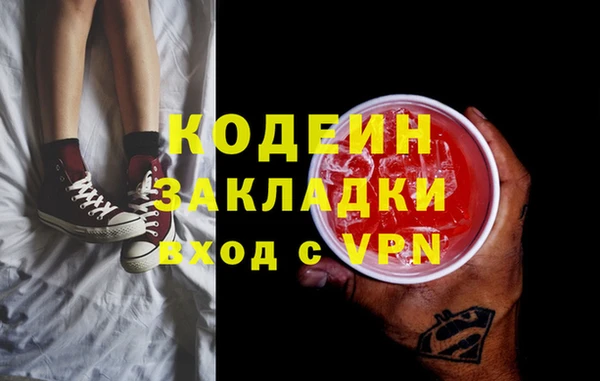 прущие грибы Гусиноозёрск