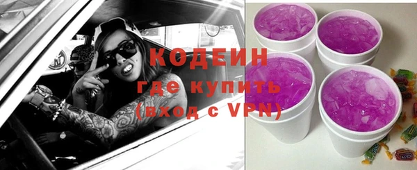прущие грибы Гусиноозёрск
