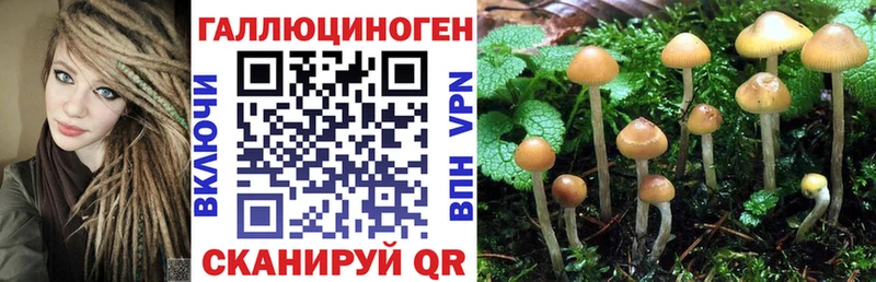 хочу наркоту  Астрахань  Галлюциногенные грибы GOLDEN TEACHER 